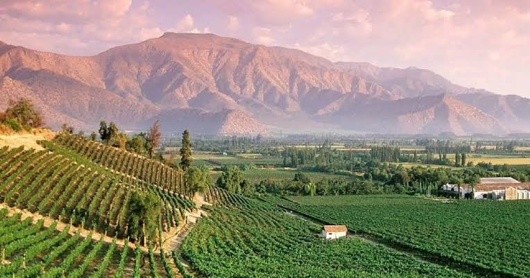 Santiago Mediterranean climate landscape