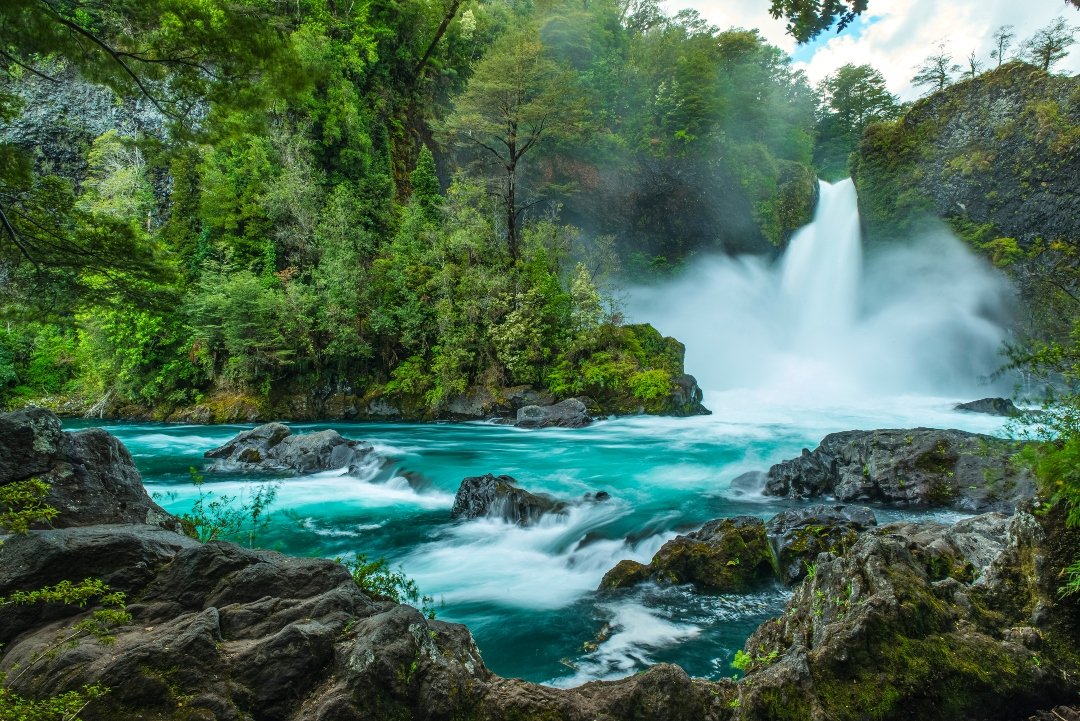 Valdivian temperate rainforest, Chile